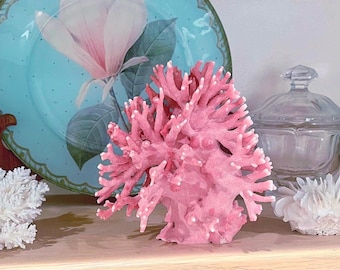 RARE Select Natural Rose Pink Coral - Not Dyed (5.25"h) | for Home Decor | Authentic Sea Decor