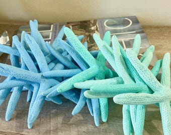 3 Real Starfish Painted Blue and Green (5"-6") - Choose Your Color  - star fish coastal Xmas beach ornaments gift