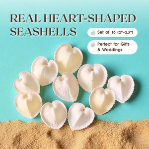 Real Heart Seashells – Set of 10 Natural Sea Shells for Beach Wedding Decor, Coastal Craft Supplies, Nautical Party Favors, Ocean Accents