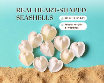 Real Heart Seashells – Set of 10 Natural Sea Shells for Beach Wedding Decor, Coastal Craft Supplies, Nautical Party Favors, Ocean Accents