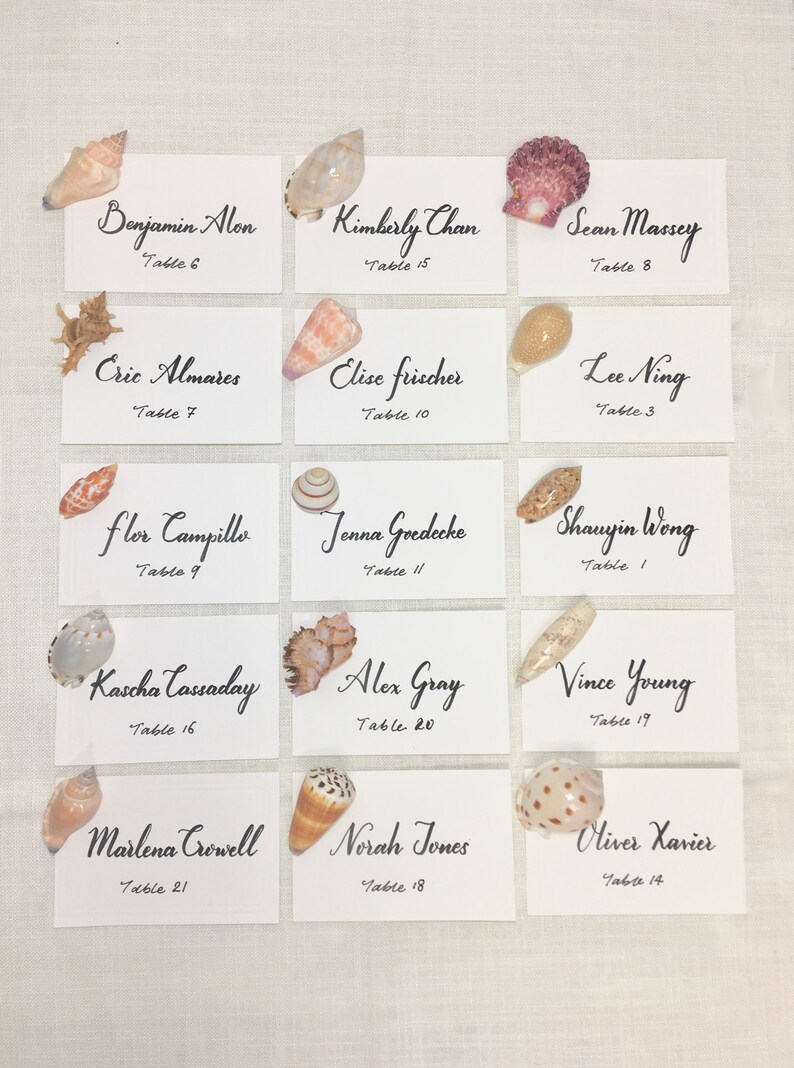 10-piece set Beach Weddings Small Natural Shells and ...