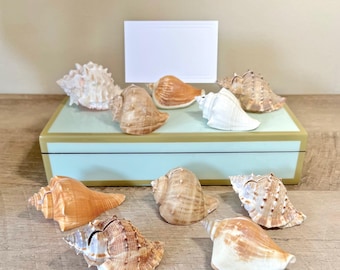 30 Seashell Place Card Holders - Beach Coastal Wedding Shower Decor