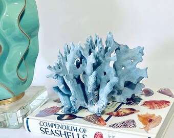 Blue Coral - Natural (Real) - FREE Shipping - 8" (full dimensions below) Coastal Decor 35th Anniversary Gift Real Nautical