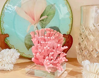 Coral - Rare Select Natural Rose Pink Coral with Optional Lucite Base