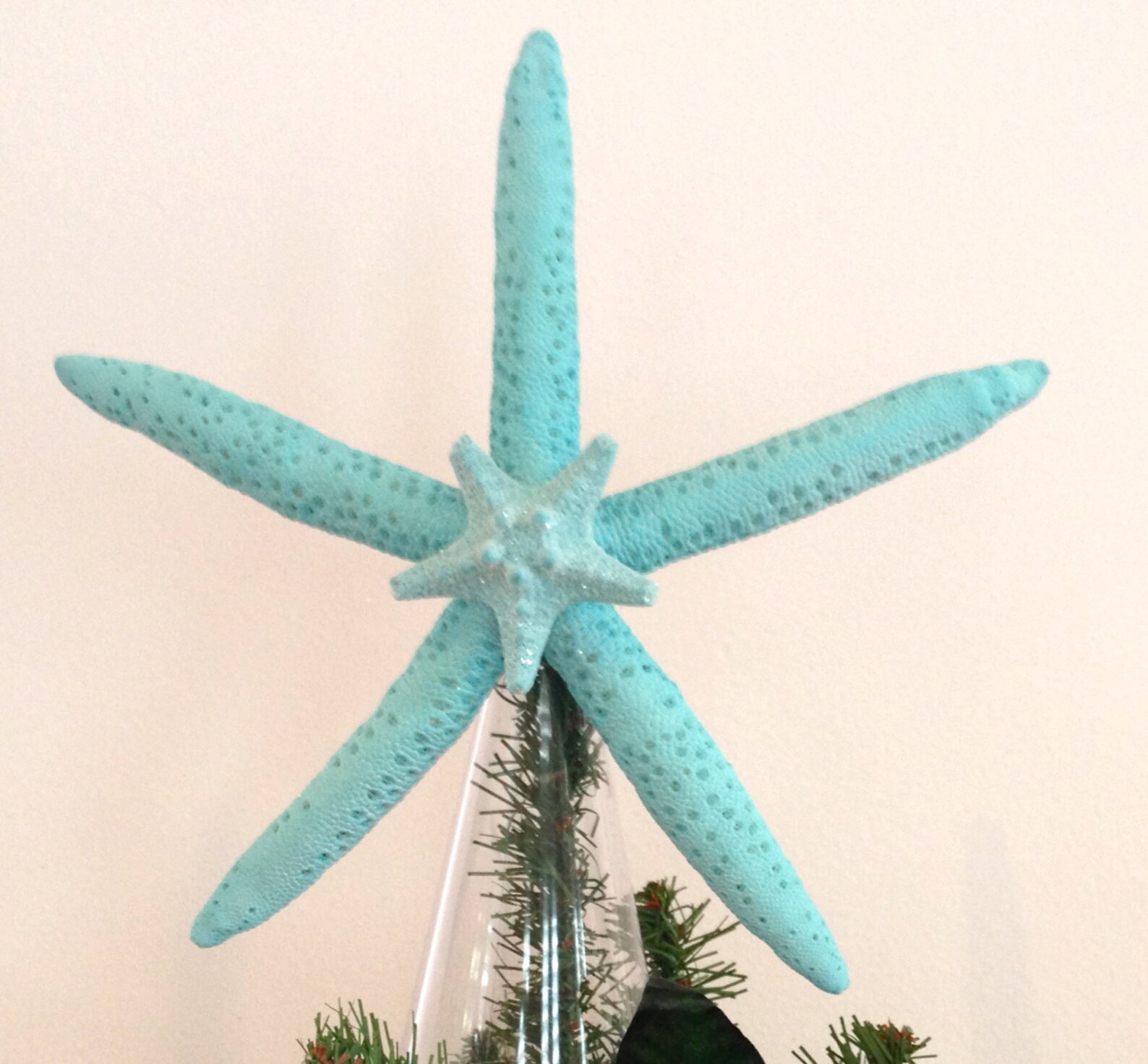 Starfish Xmas Tree Topper Natural Starfish handpainted Aqua Etsy