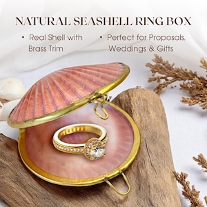Echte Muschel Ring Box mit Seestern - Hochzeit Ring Halter, Schmuck oder Pill Box Geschenk, Brautjungfer Geschenk, Küsten Decor Andenken