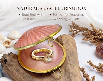 Real Seashell Ring Box with Starfish – Beach Wedding Ring Holder, Jewelry or Pill Box Gift, Bridesmaid Favor, Coastal Decor Keepsake