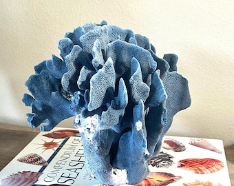 Blue Coral - Real Genuine Coastal Beach Decor Nautical Home Accent Wedding Centerpiece (7"w x 6"d x 7"h)