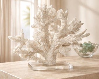 Real Branch Coral on Lucite - genuine natural coastal beach decor 35th Anniversary gift Coral Centerpiece