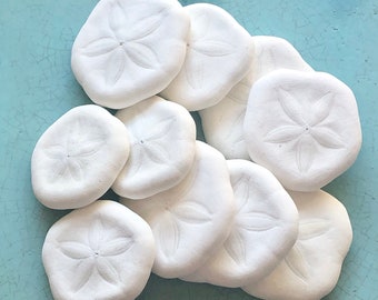 Sea Cookies - Set of 10 - 1"-1.5" Decor Crafting Projects Seashells Sand Dollars