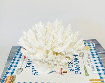 Beach Decor - Natural Branch and Table and Corals - Sold Individually - real coral coastal beach decor nautical 35th anniversary gift