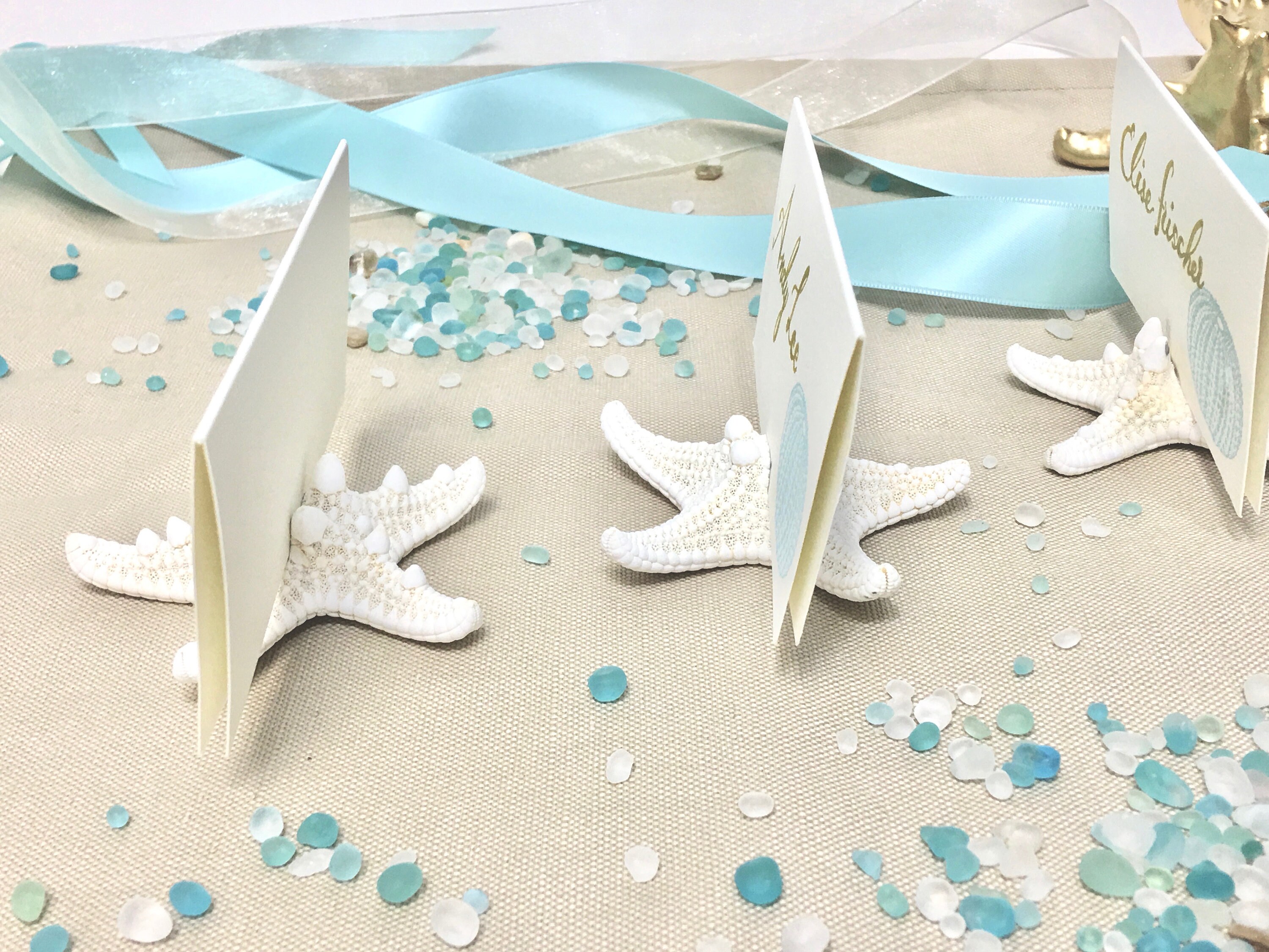 Metta Le Conchiglie E Le Stelle Marine Illustrazione di Stock