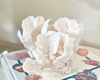 Natural Cactus Coral Coastal Decor - Nautical White Coral Centerpiece