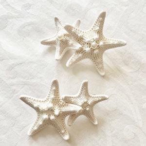 Natural Real Starfish Hair Barrette Choose Double or Triple Starfish with Pearls, Crystals or Plain Beach Hair Accessories, Wedding image 6