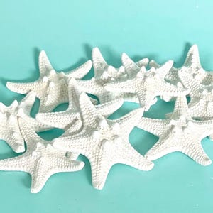 10 Small Knobby Starfish: Natural Beach Wedding Decor, Craft Shells (1-2")