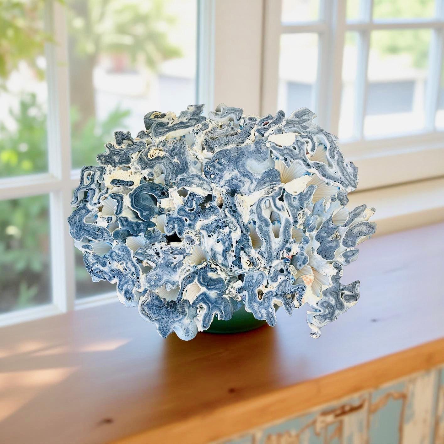 SeashellCollection - Etsy 日本