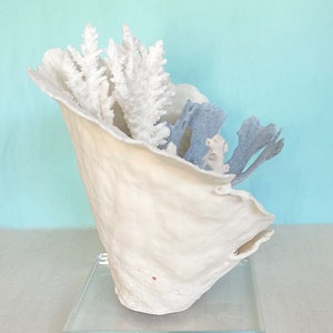 Coral Natural Coral Creation on Lucite Stand real coral coastal beach decor nautical 35th anniversary gift image 2