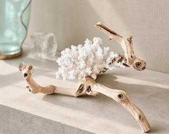 Coral & Grape Wood Branch Display – (9"w x 8"d x 5.5"h) - Genuine Coral Coastal Display Shelf Centerpiece