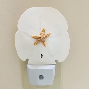 Real Shell LED Night Lights - Sand Dollar w/Starfish and Shell Nightlights - bathroom kitchen hall Gift Wrap Available - Secret Santa Gift
