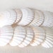 see more listings in the Seashells - Large section