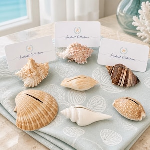 Shell Place Card Holders (100), Wedding Coastal Table Number Holders/Beach Bridal Shower Decor Favor