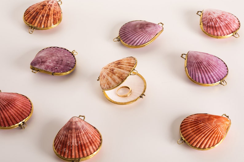 Shell Box Natural Seashell Ring Box Beach or coastal Wedding, Perfume Holder, pill box, jewelry box image 1