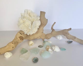 Coral & Grape Wood Branch – Coastal Display Centerpiece