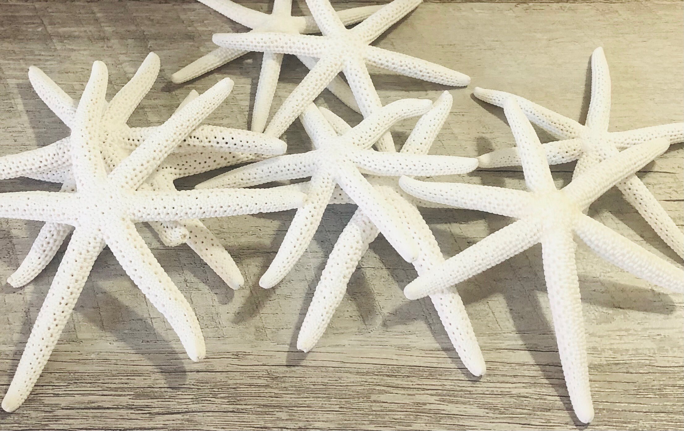 4s starfish