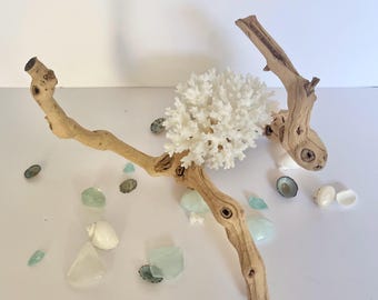 Coral & Grape Wood Branch – Coastal Display Centerpiece
