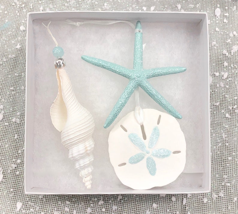 Beach Christmas Ornaments Gift Boxed Set of 3 Ornaments Natural Starfish, Sand Dollar & Spindle Shell coastal Xmas gift image 1