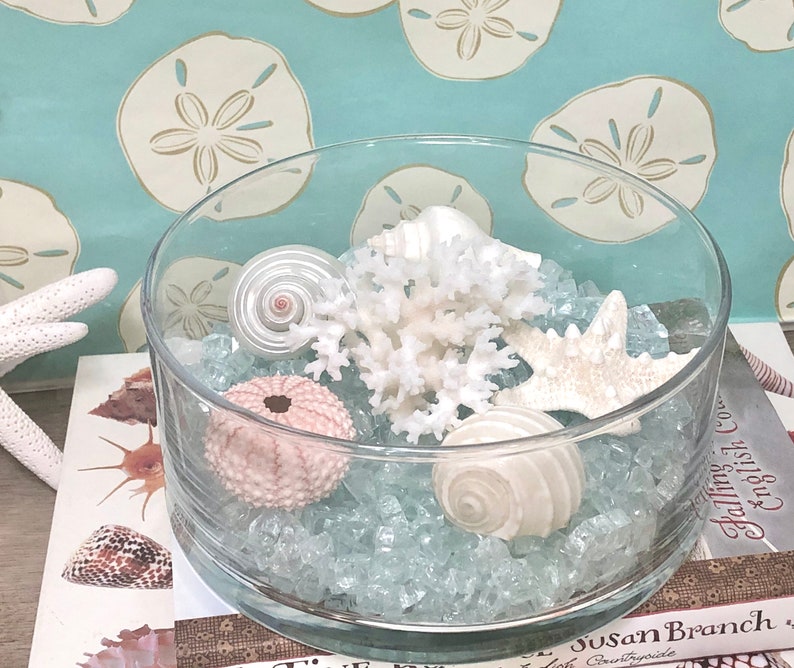 Beach Decor Glass Bowl Display with Natural Seashells Coral Etsy