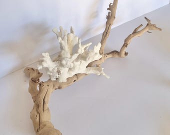 Coral & Grape Wood Branch – Coastal Display Centerpiece