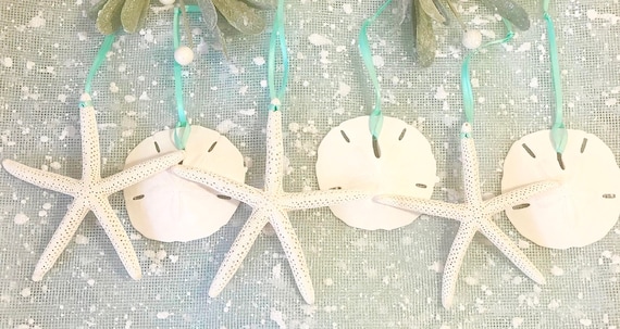 Nautical Crush Trading Ornamenti Sand Dollar