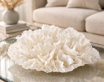 Authentic Lettuce Coral Centerpiece - Beautifully-Shaped Coral for Display  - coastal beach decor 35th anniversary gift