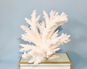 Natural Branch Coral - You will receive this piece - 9" w x 9" d x 8" h - real coral coastal beach decor aquarium 35th anniversary gift