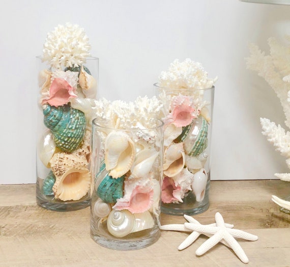 Decoración con conchas de mar : cositasconmesh  Decoracion conchas de mar,  Decoración de unas, Manualidades con conchas marinas