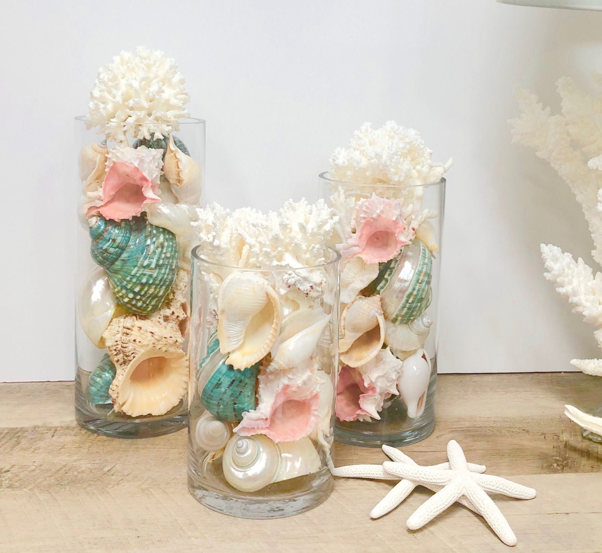  KAMHX Mixed Size Beach Sea Shells, Conch and Starfish,Suitable  for Beach Theme Parties, Home Decoration, Weddings, Vase Fillings and  Classrooms, DIY Crafts Shell Earrings and Bracelets : Home & Kitchen