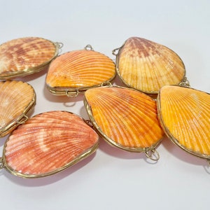 Shell Box Natural Seashell Ring Box Beach or coastal Wedding, Perfume Holder, pill box, jewelry box Siena/Orange