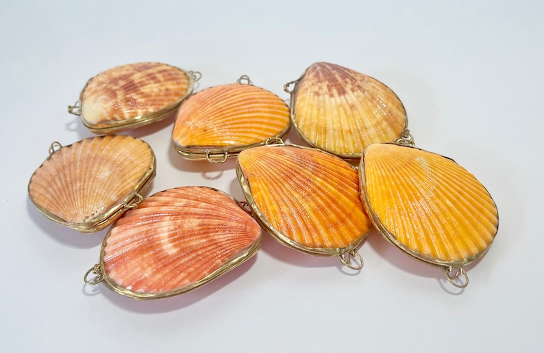 Shell Box Natural Seashell Ring Box Beach or coastal Wedding, Perfume Holder, pill box, jewelry box image 9