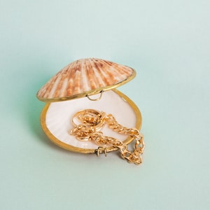 Shell Box Natural Seashell Ring Box Beach or coastal Wedding, Perfume Holder, pill box, jewelry box image 3