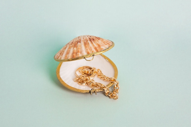 Shell Box Natural Seashell Ring Box Beach or coastal Wedding, Perfume Holder, pill box, jewelry box image 3