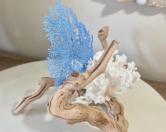 Coral & Grape Wood Branch Display – (9"w x 8"d x 5.5"h) - Genuine Coral Coastal Display Shelf Centerpiece