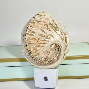Real Shell LED Night Lights - Sand Dollar/Starfish and Shell Nightlights - bathroom kitchen hall Gift Wrap - Secret Santa or Teacher Gift