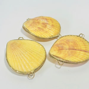 Shell Box Natural Seashell Ring Box Beach or coastal Wedding, Perfume Holder, pill box, jewelry box Yellow