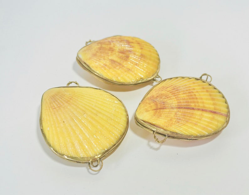 Shell Box Natural Seashell Ring Box Beach or coastal Wedding, Perfume Holder, pill box, jewelry box image 8