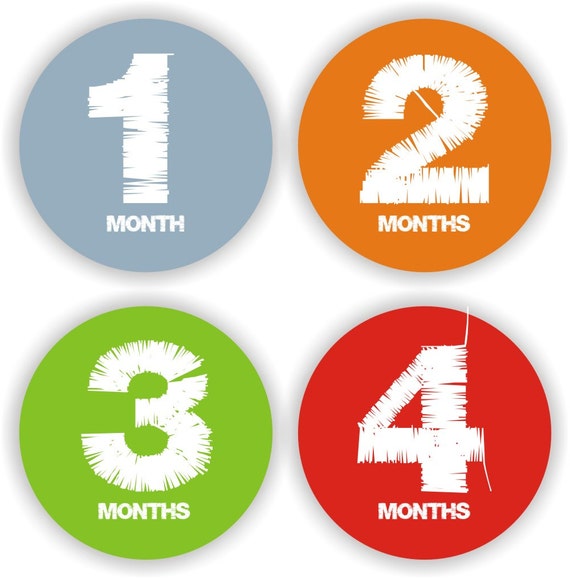 Baby Stickers - Baby Month Stickers - Baby Boy Monthly Stickers - Baby Shower Gift - Baby Bodysuit Labels Il_570xn