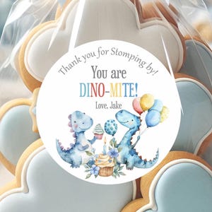 Custom Cute Baby Dinosaur 1st Birthday Thank You Stickers, Dino Party Favors Labels, Dinosaur B-day Favor Stickers, Dino-Mite Labels