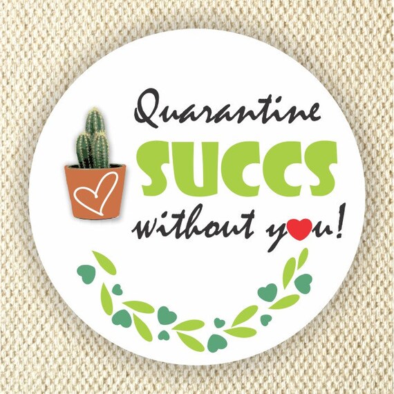 Quarantine Succs without You Stickers - Social Distance Stickers- Funny Stickers - Quarantine Favor Stickers Il_570xn