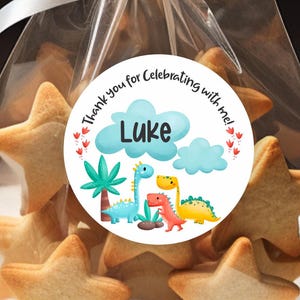 Custom Cute Baby Dinosaur 1st Birthday Thank You Stickers, Dino Party Favors Labels, Dinosaur B-day Favor Stickers, Dino-Mite Labels