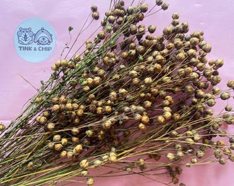 Flax Hamster Spray - Natural Foraging Treat & Small Pet Enrichment